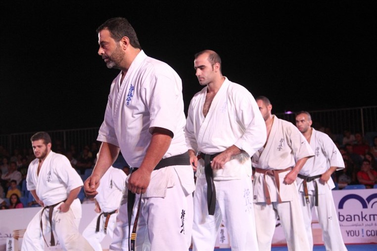 Martial Arts Festival